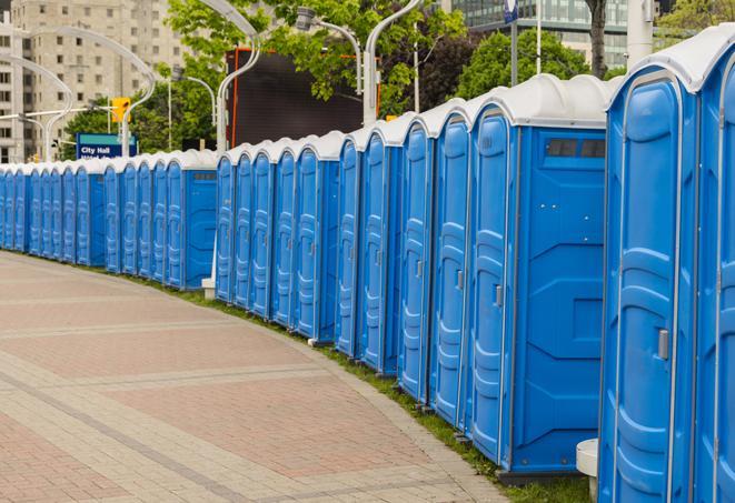 Seasonal porta potty units set up at a Benton Harbor, Michigan venue
